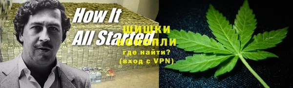 jwh Белокуриха