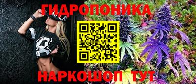 шишки Малгобек
