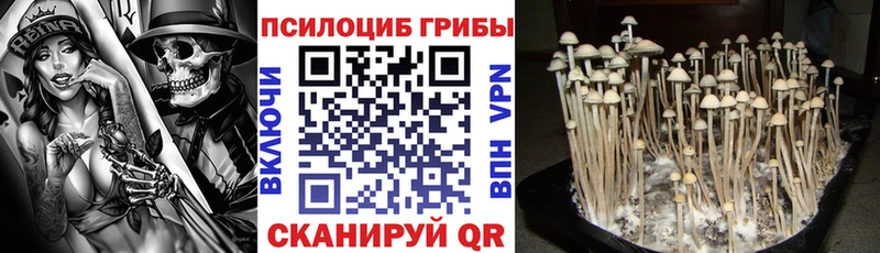 Псилоцибиновые грибы мухоморы  Гусев 