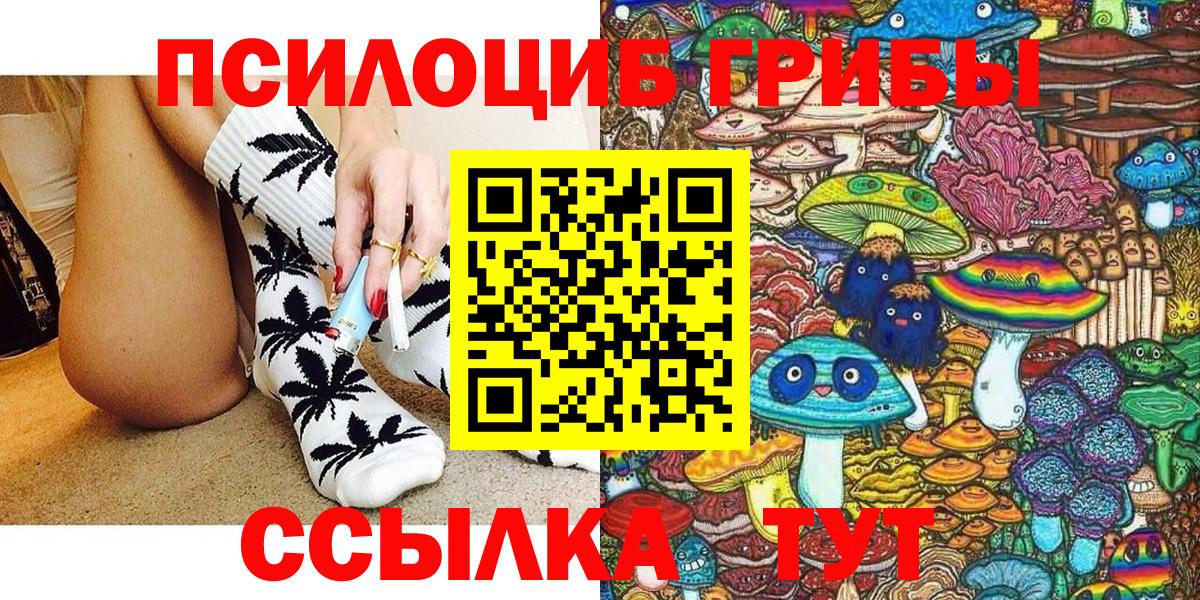 Псилоцибиновые грибы мицелий Гусев