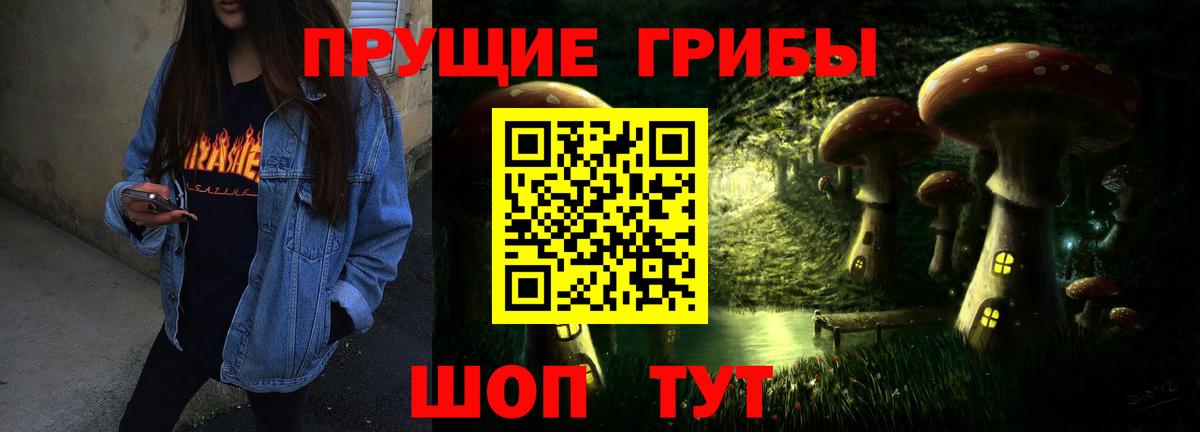Галлюциногенные грибы Psilocybe  Вход с VPN  Галлюциногенные грибы Psilocybine cubensis  Гусев 