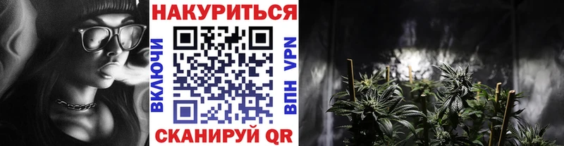 Шишки марихуана Bruce Banner  Гусев 
